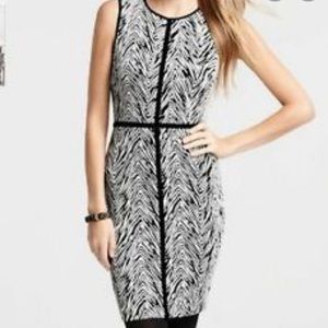 Ann Taylor Size 2 Zebra Print Dress